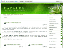 Tablet Screenshot of capaloe.fr